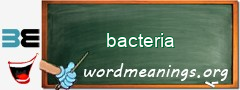 WordMeaning blackboard for bacteria